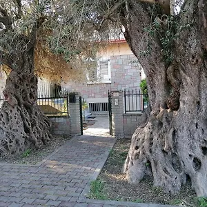 La Casa Degli Ulivi Turri